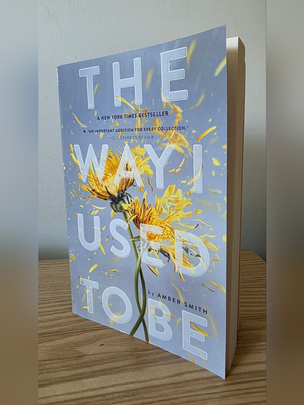 2 For $16 Books - The Way I Used to Be by Amber Smith